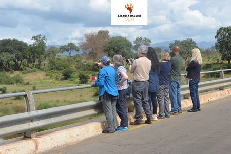Exhilarating 7 Day Kruger Safari Adventure - South to North
