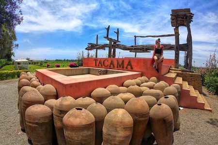 Ica: Pisco and Peruvian Wine Route