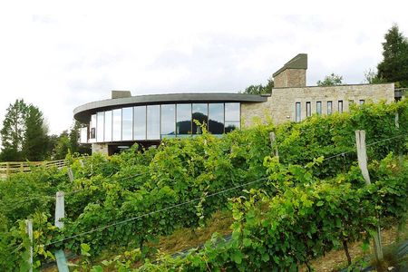 Bilbao Txakoli Wine Tasting & Local Flavors in Urdaibai Biosphere