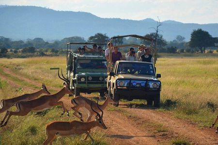 3 Days Isimangaliso Wetland & Hluhluwe Imfolozi Tour From Durban