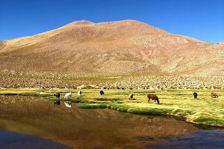 3-Day Exploring San Pedro de Atacama