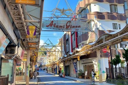 Atami Half-Day Private Tour with Government-Licensed Guide