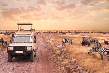5 days safari, hiking & culture (Serengeti & kilimanjaro)