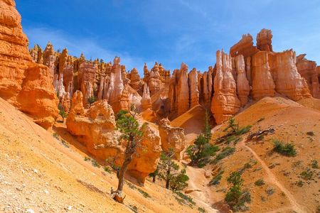 Zion and Bryce Canyon National Park Day Tour from Las Vegas