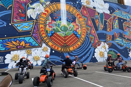 Downtown Dallas Sightseeing & History 2 Hour E-Bike tour