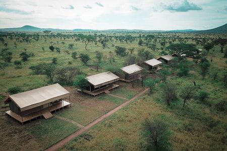 3 days fly in safari