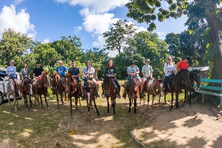 Horseback Riding + West End + Choco Factory + West Bay Day Pass @ Paradise Beach