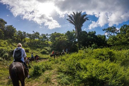 Horseback Riding Trail Tour, Roatan Letters and Ocean in Flowers Bay