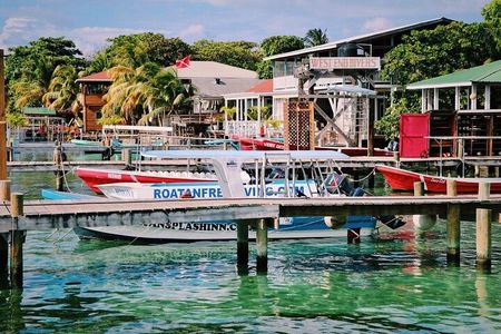 West End Tour (Choco Factory + Rum Company + Art Gallery + Rusty Fish and more)