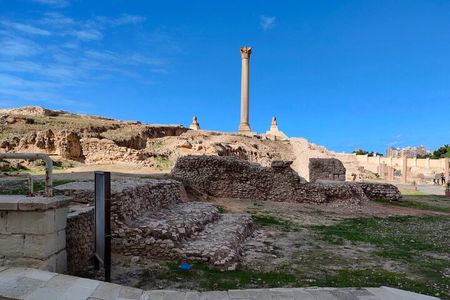 Private Full-Day Alexandria from alexndria