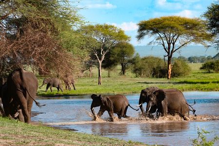  5-Day Group Tour Mid Range