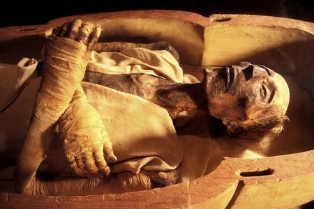 Tour to The National Museum of Egyptian Civilization & The Royal Mummies