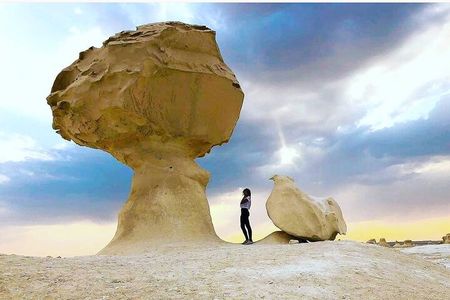  Private White Desert tour one Full day from Cairo 