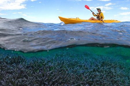 Coral By Kayak - Ningaloo Reef Half Day Kayak & Snorkel Tour