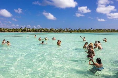 Saona Island Full-Day Tour with Lunch from Punta Cana