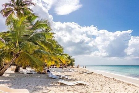 Saona Island Full-Day Tour with Lunch from Punta Cana