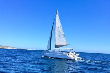 Snorkel Adventure through the Sea of Cortez