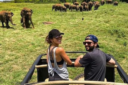 La Ceylon Popular Round Tour in Sri Lanka (8 Day)
