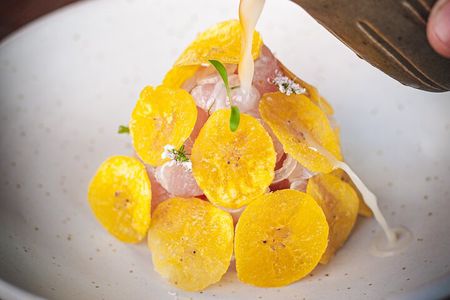 The Ceviche Route