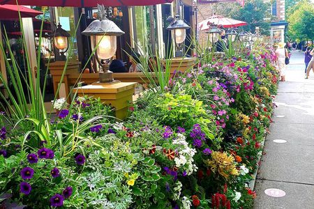 Niagara on the Lake Walking Food, Wine/Beer Tasting Tour 