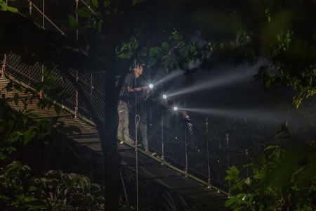 Hanging Bridges Twilight Walk in Arenal Volcano