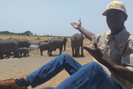 Hwange National Park Full Day Trip