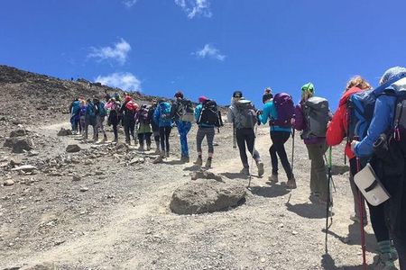 8 Day Private Kilimanjaro Climb via Lemosho Route