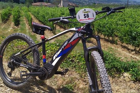 Private Guided Tour by E-Bike and Electric MTB in Fiesole