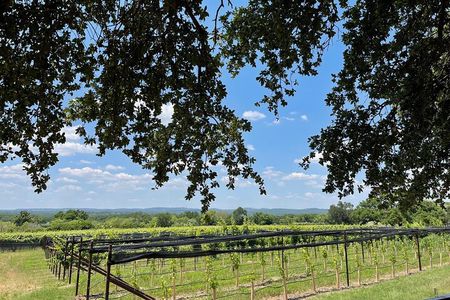 Fredericksburg Texas Area Wine Tastings: 3 Wineries and Lunch