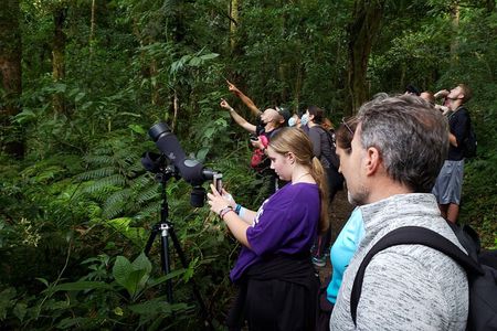 One Day Of Nature in Monteverde 