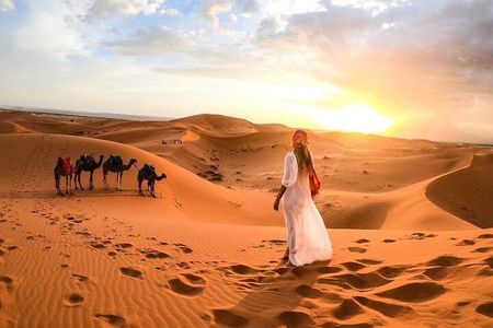Camel Trekking in Dubai Desert with BBQ and Live Shows