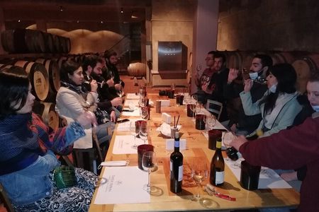 PRIVATE Wine Tasting Tour to the Bekaa Valey Fabulous Wineries