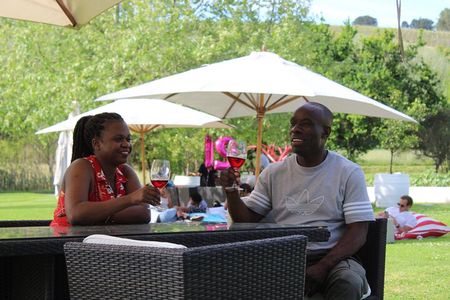 A Visit To Stellenbosch Franschoek Paarl Wineries From Cape Town Full Day