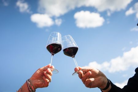 Tour Tasting & platter at an Organic Winery - Panzano in Chianti