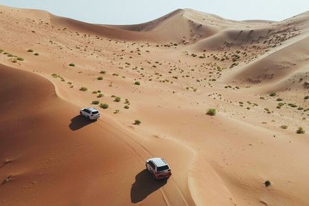 Desert Safari Dubai with Dune Bashing, Activities and Dinner