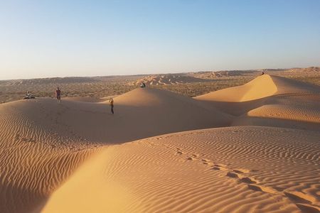 Salalah Desert Day Trip – Dunes, Camel Farm & Frankincense