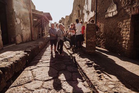 Herculaneum Small Group Tour and Ticket With an Archaeologist 
