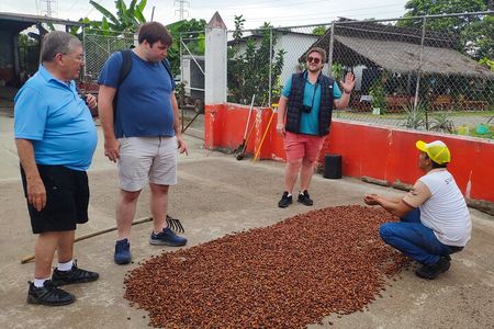 Half day on a Cocoa farm - For Seniors