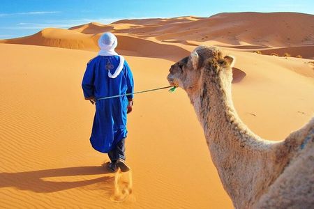 4 Day Desert tour from Marrakech to Fez