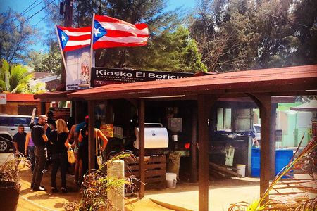 Discovering Puerto Rico: Lifestyle, Art, and Cultural Tour