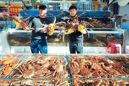Full- day Busan private tour