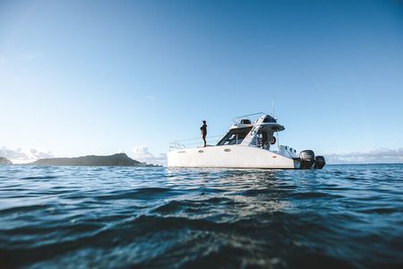 Private Whale Watching and Coastal Swimming Tour Honolulu