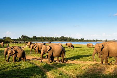Private Multi-Day Outdoor Tour in Sri Lanka
