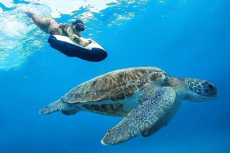 Seabob Rental in Guadeloupe
