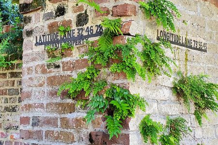 Private Walking Tour of Historic Charleston