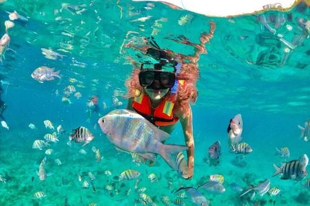 Snorkeling tour Express in Cancun with Certified Guide