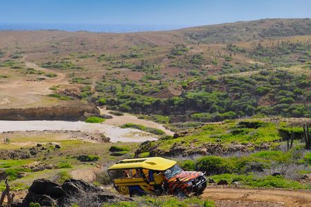 Elite Jeep Safari with Lunch, Beer, and Open Bar
