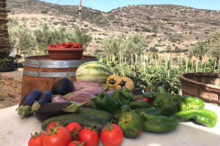 Wine Tasting and Tour in Saint Anna Winery in Naxos