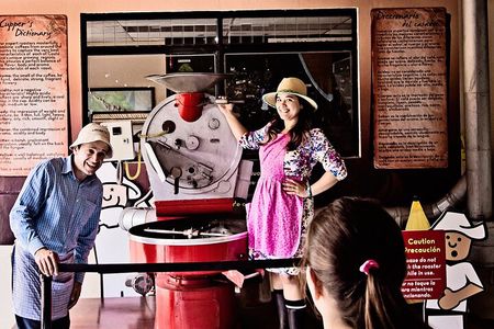 Britt Coffee Tour from San José