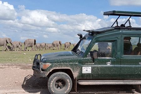 6 Days Amboseli,Lake Naivasha and Masai Mara Safari